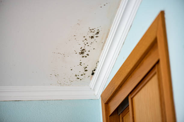 Water Damage Restoration in Seaford, DE