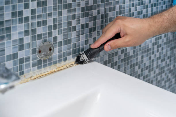 Best Certified Mold Removal  in Seaford, DE